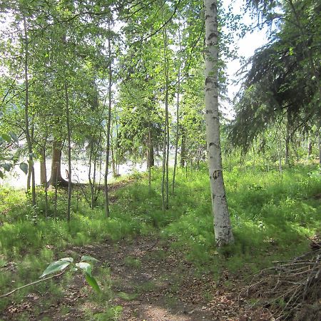 Dawson City River Hostel Екстериор снимка